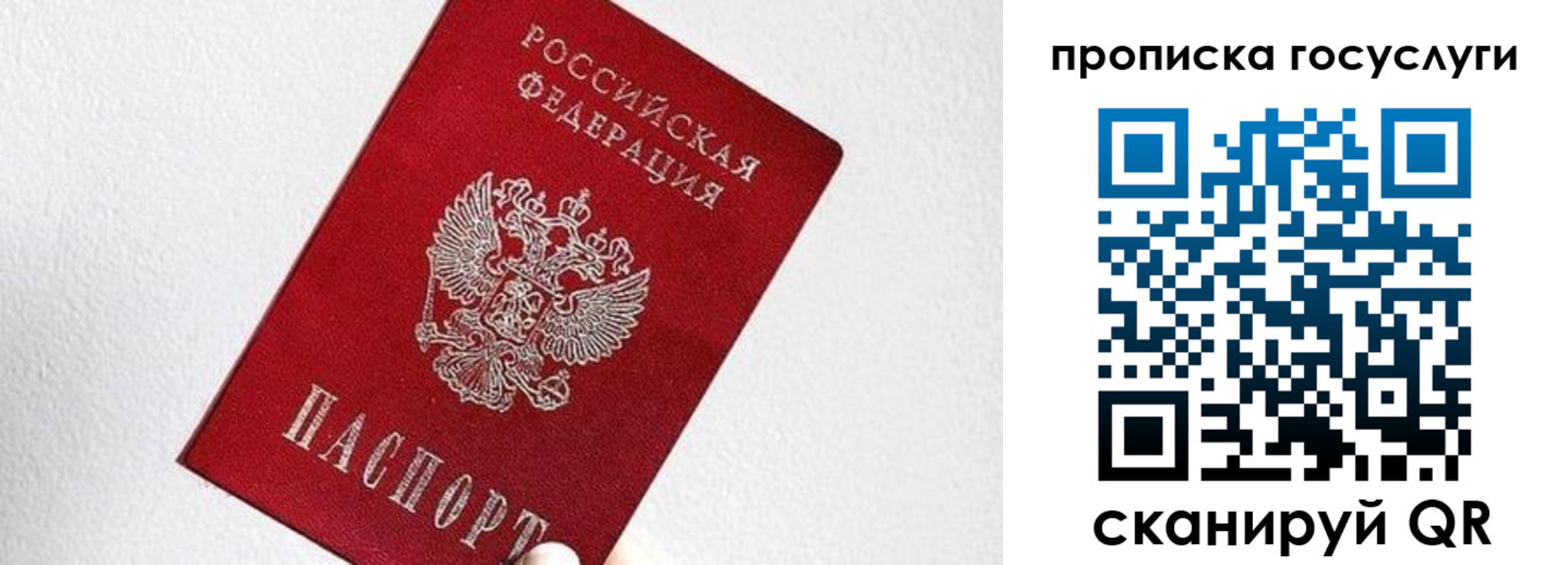 прописка законно в Мурманской области